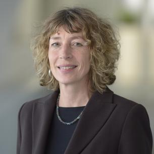 Zusammenarbeit und Führung in der Transformation